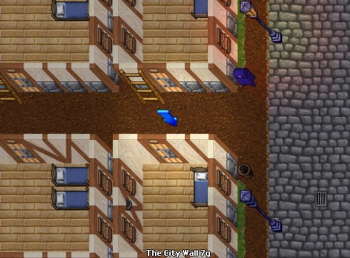 house image
